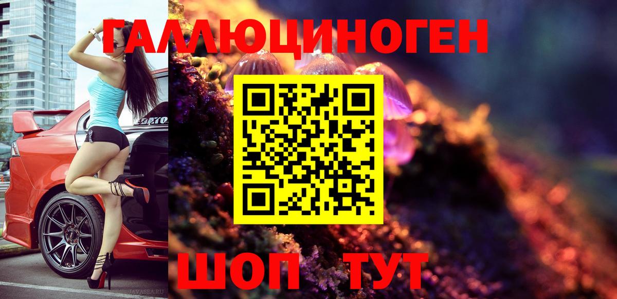 Солнечногорск  где найти наркотики  Вход с VPN  Псилоцибиновые грибы мухоморы 