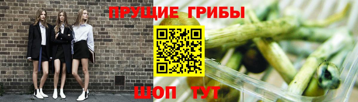 ГАШИШ Солнечногорск